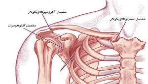 دررفتگی مفصل شانه